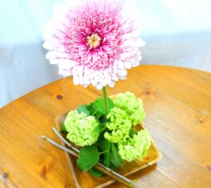 (日本語) flower day @ あなたの公-差-転